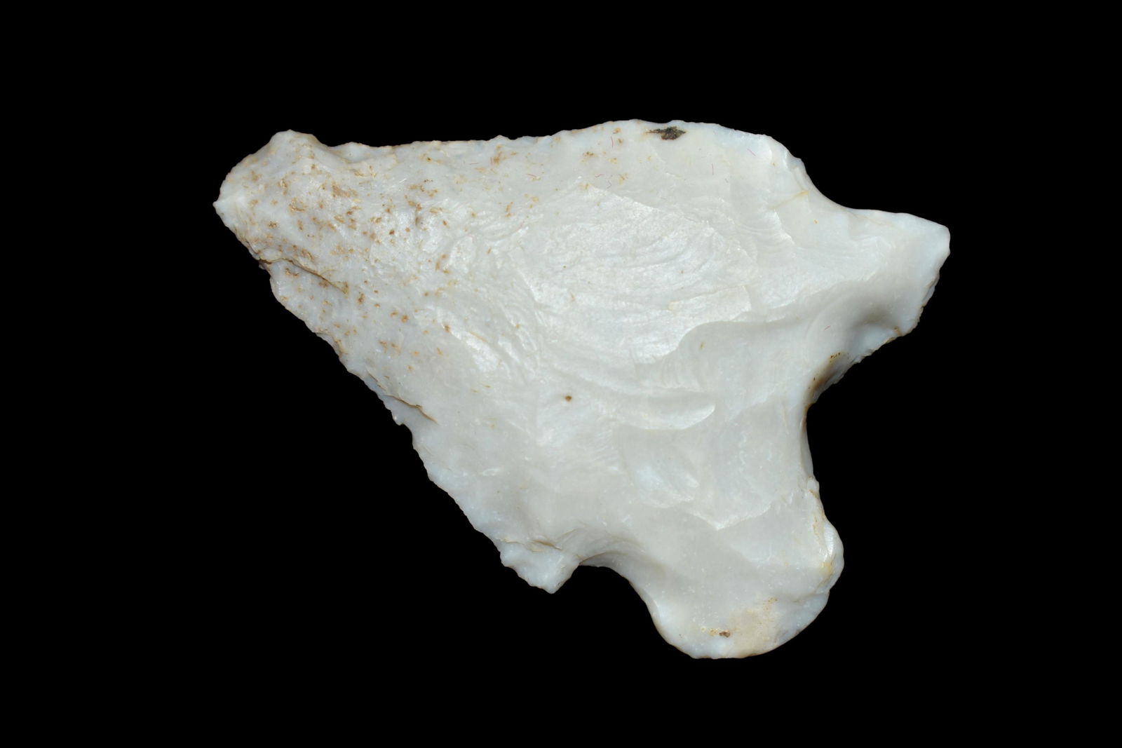 1 3/4" Maccorkle. This collection contains the (1 of 5)