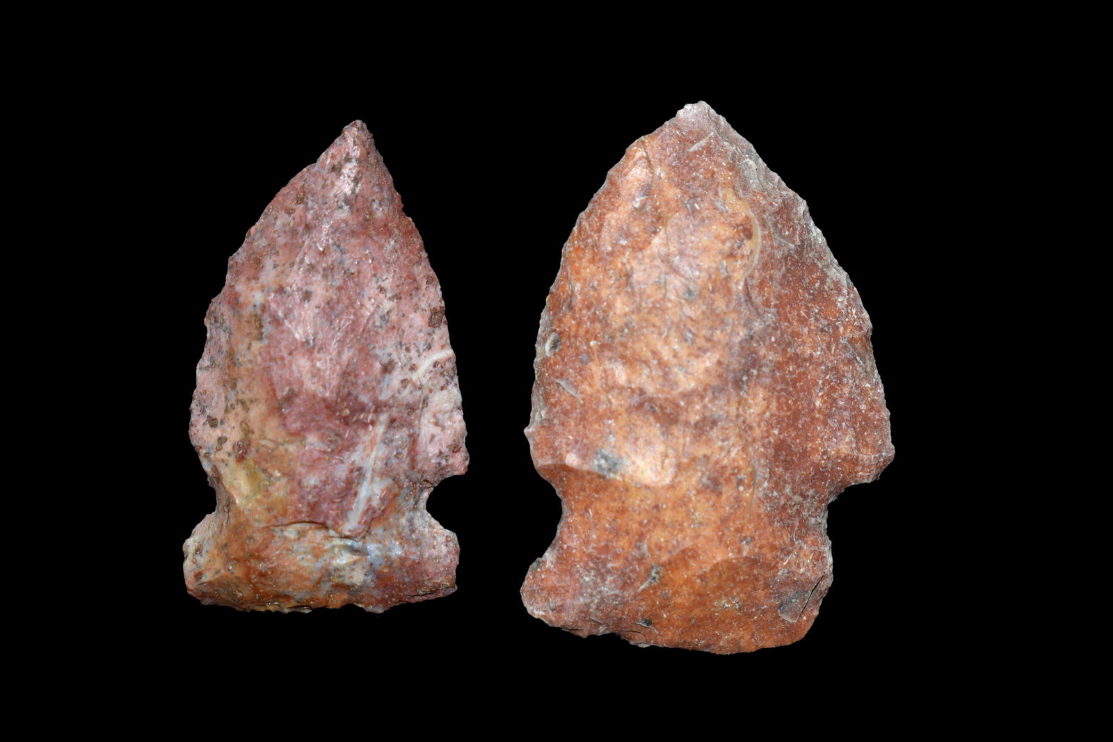 Lot of 2 River Stained Arrowheads. This collection (1 of 2)