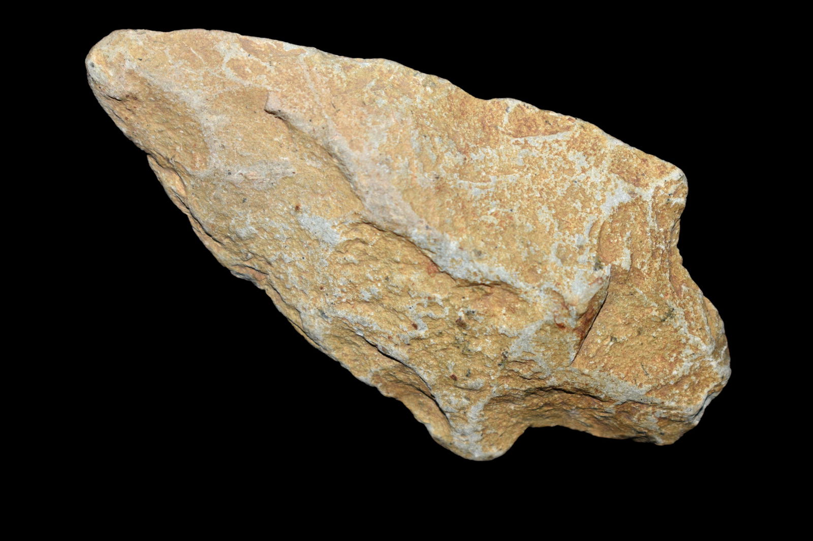 2 3/4" Adena  found in Eastern North Carolina as (1 of 5)