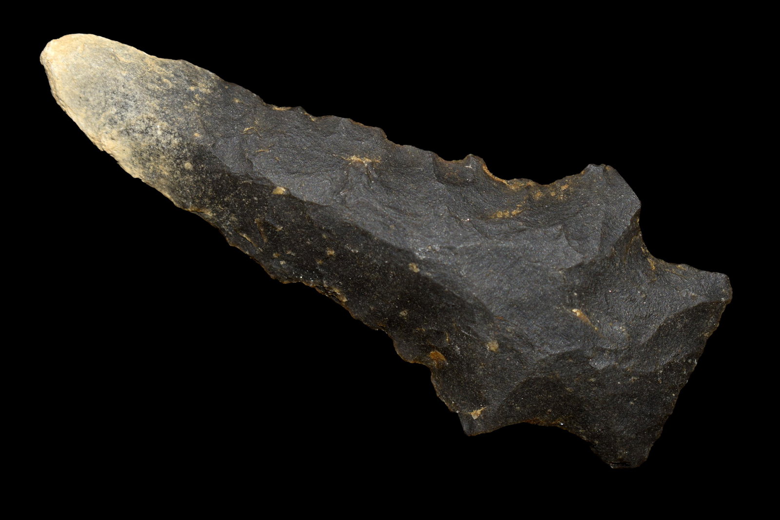 3 1/8" Stemmed Kirk  found in Eastern North Carolina as (1 of 5)