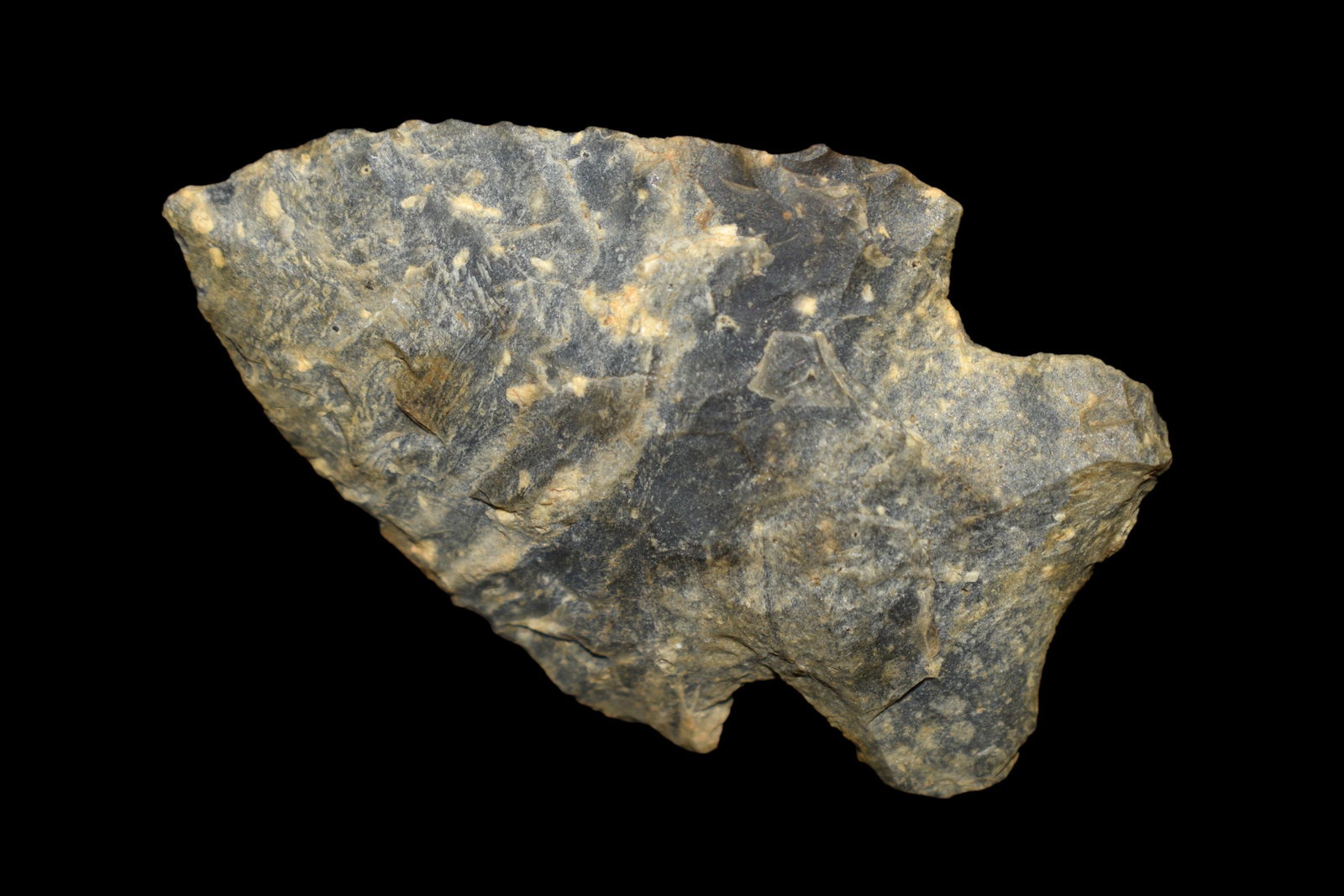 1 3/4" Corner notch  found in Eastern North Carolina as (1 of 5)