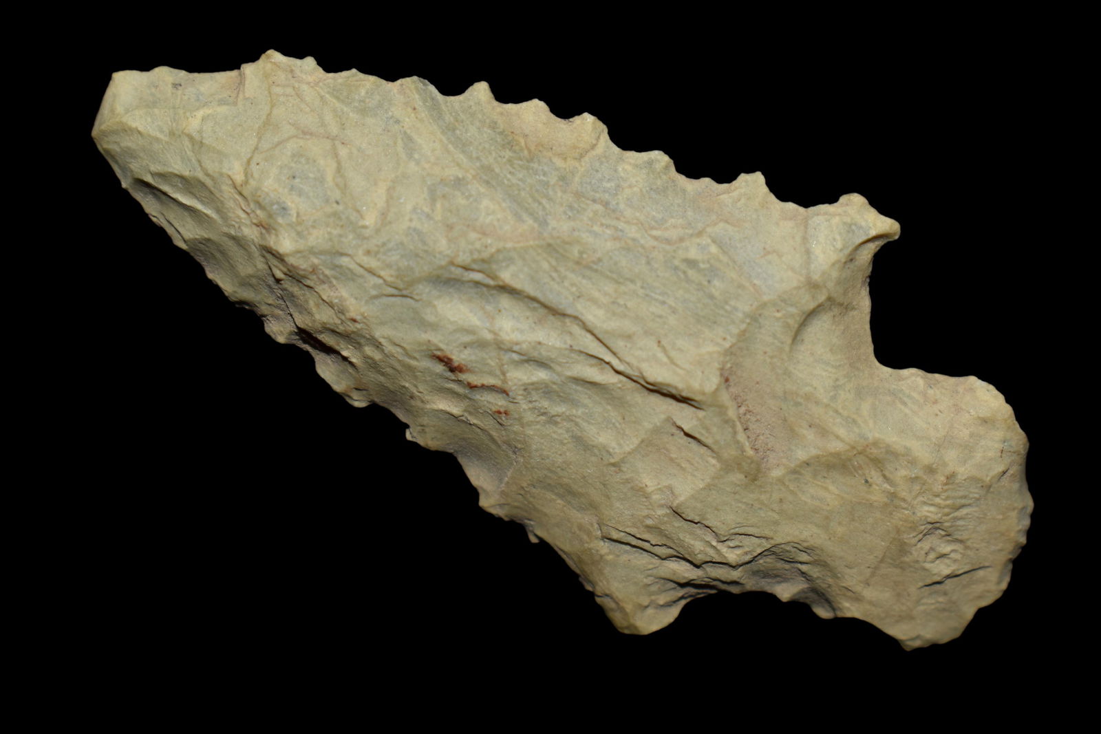 2 1/4" Stemmed Point  found in Eastern North Carolina (1 of 5)