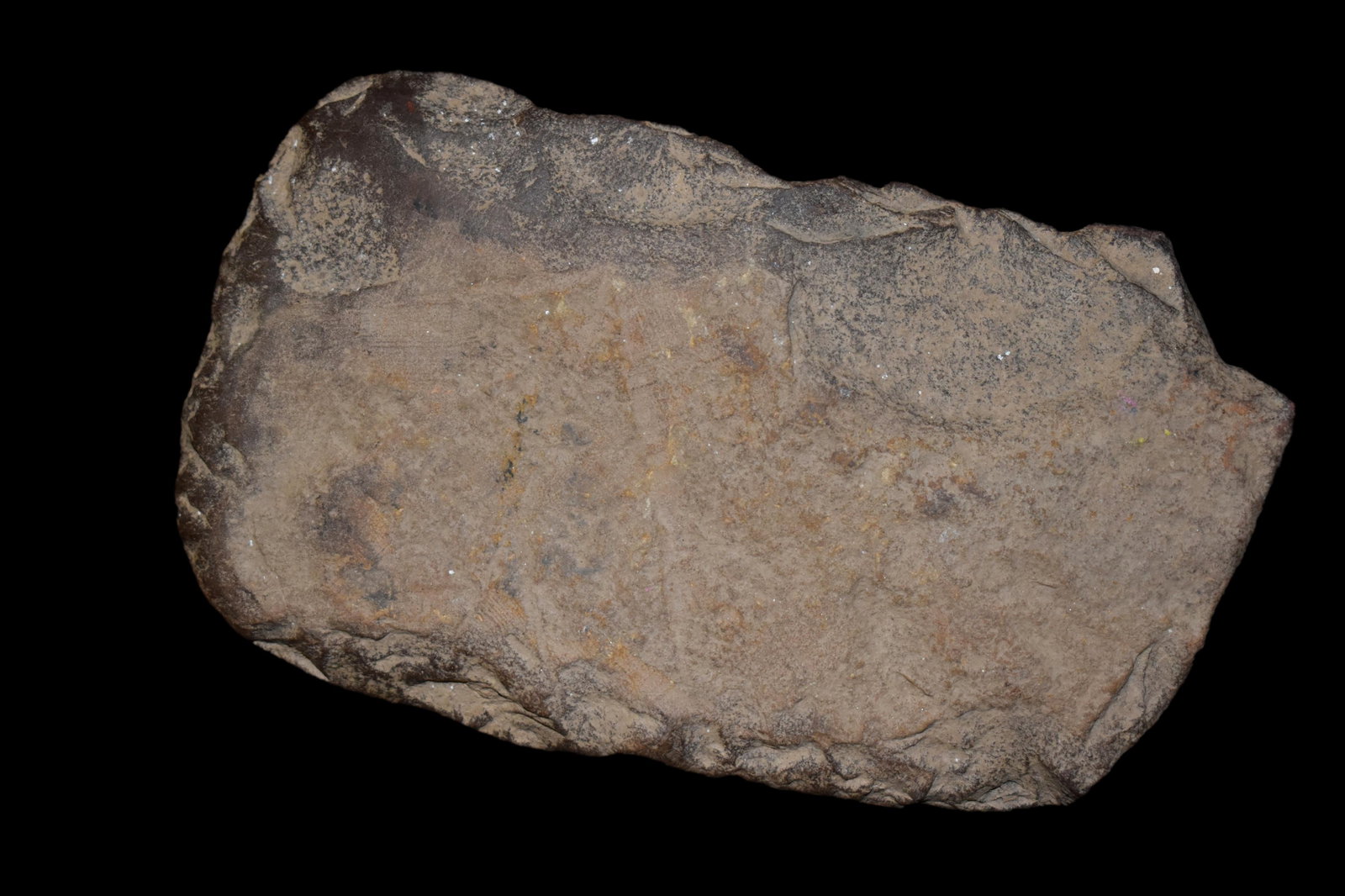 5 1/2" Flint Celt found in Eastern North Carolina as (1 of 5)