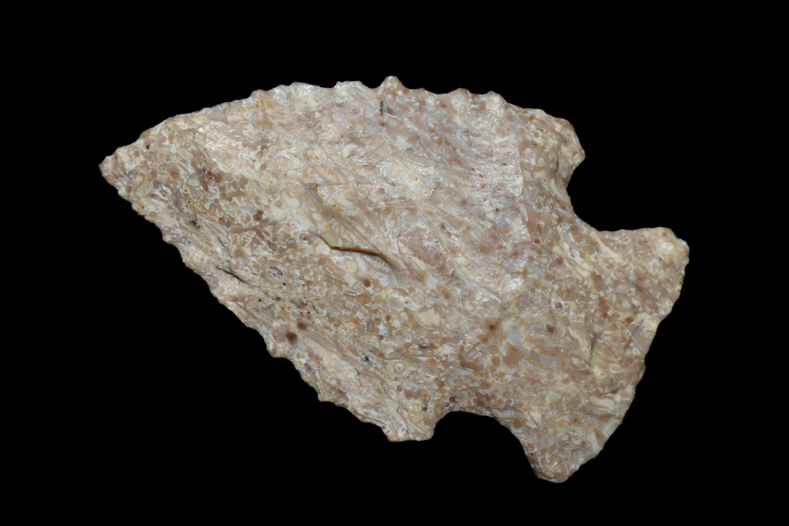 1 7/8" Epps, Found in Union County Illinois (1 of 4)