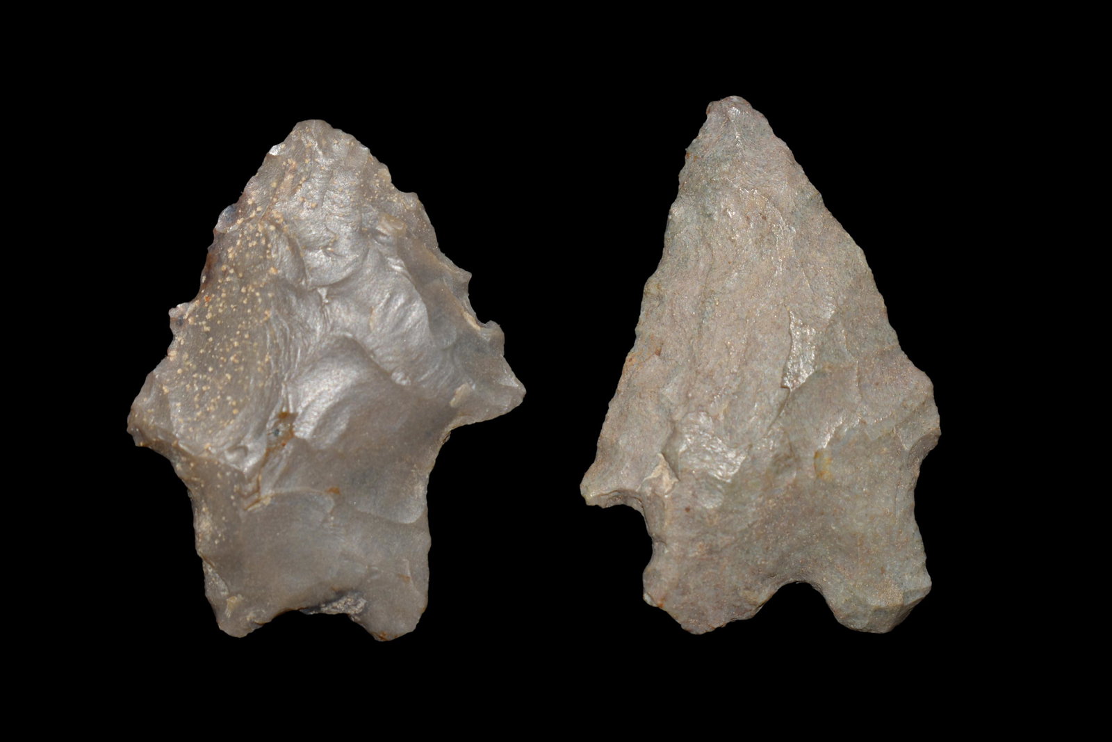 Lot of (2) Arrowheads Found in Union County Illinois (1 of 2)