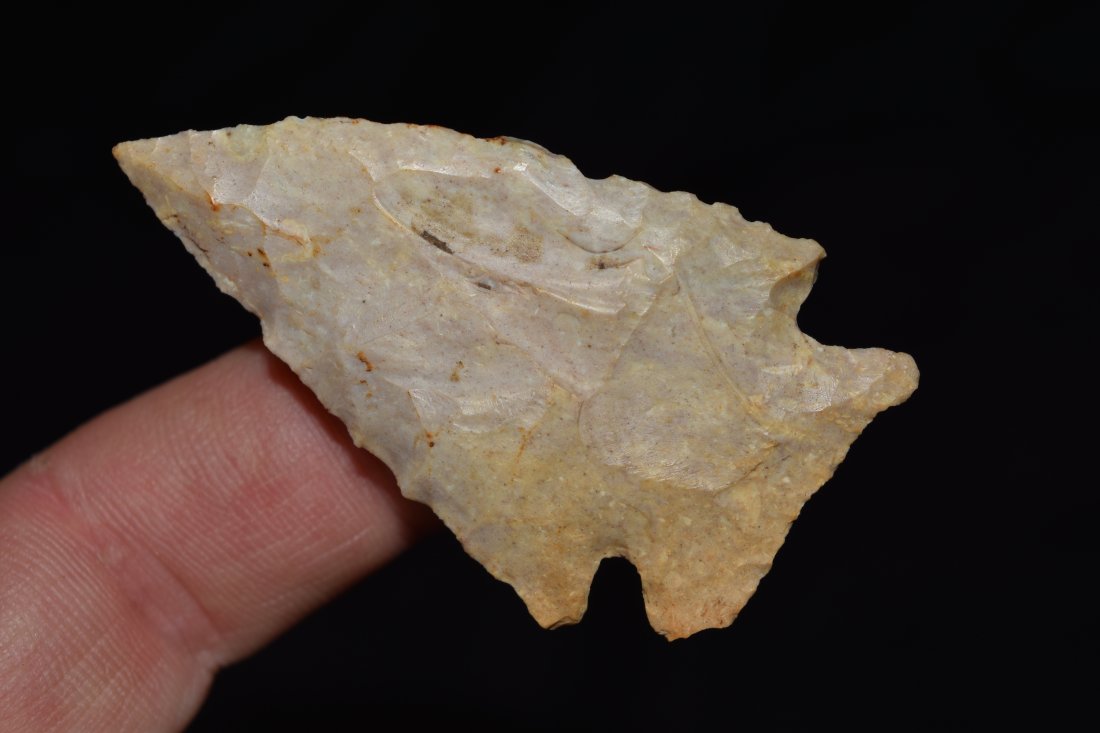 2 1/8" Pinetree, Southern Indiana, authentic Native (1 of 5)