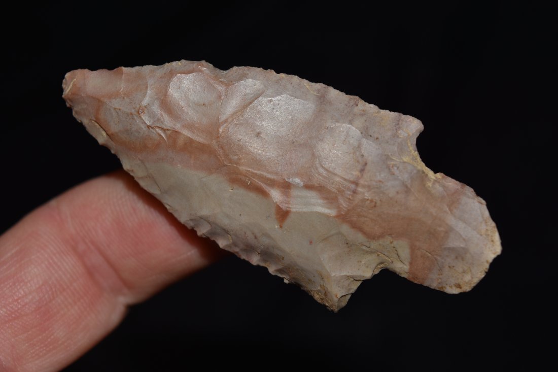 2 5/8" Little Bear Creek, Buffalo River Chert, Decatur (1 of 4)
