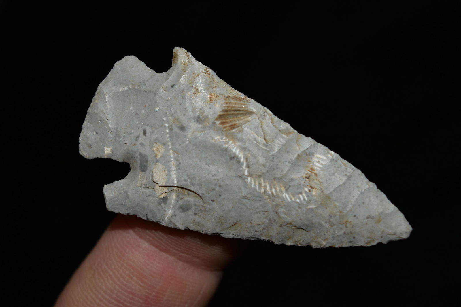 1 7/8" Apple Creek, Oklahoma, authentic Native American (1 of 5)