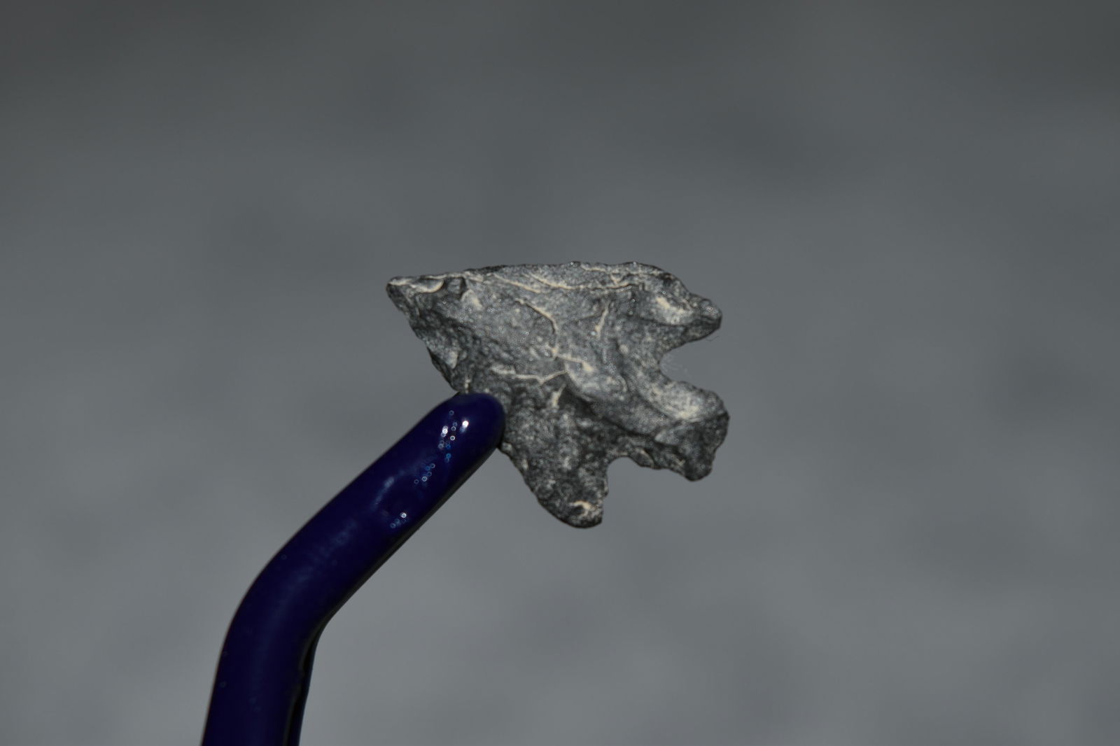 3/4" Bird Point, California, authentic Native American (1 of 3)