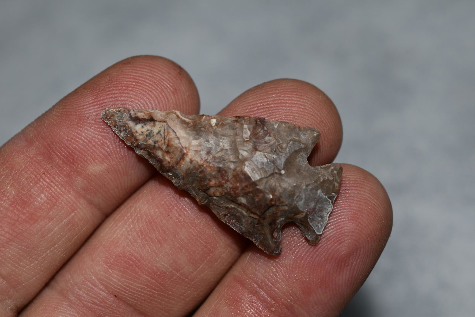 1 3/8" Mummy Cave, California, authentic Native (1 of 4)