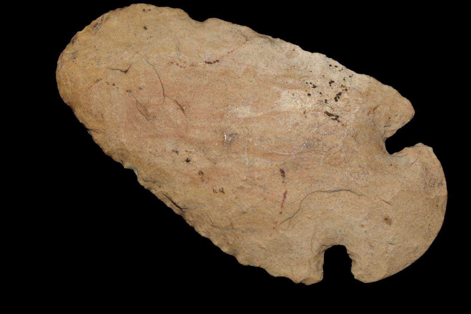 2 7/8" Blunted Dovetail Point Johnson Co Illinois Ex (1 of 4)