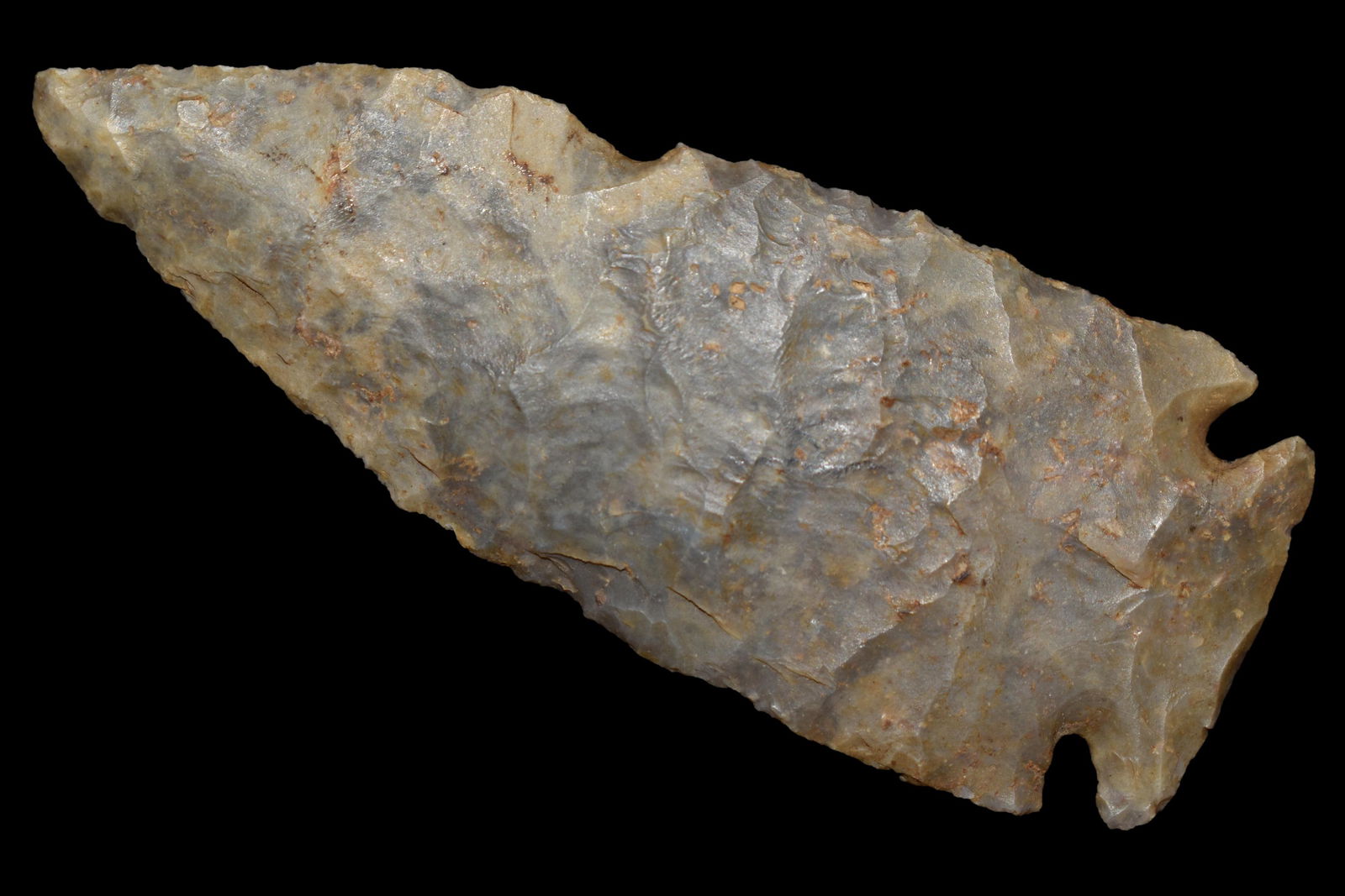 3' Dovetail Johnson Co Illinois Ex Nick Gatses Ex Scott (1 of 4)