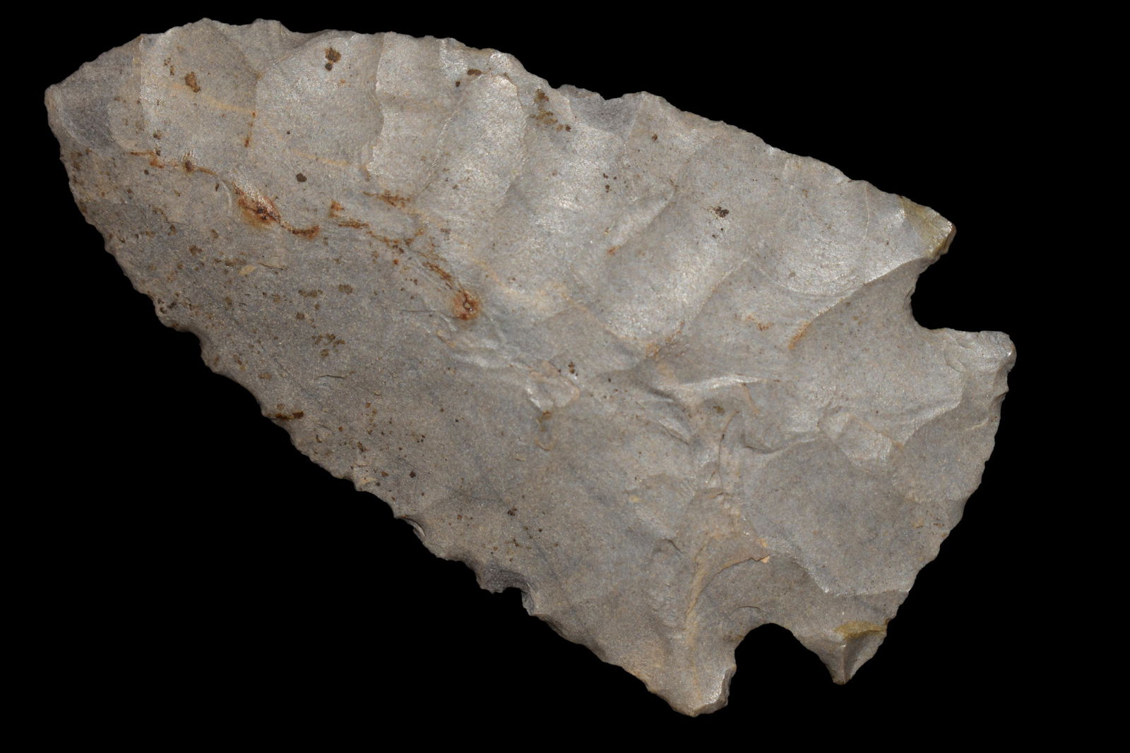 3" Hard Dove Ocala Point Johnson Co Illinois Ex Nick: 3" Hard Dove Ocala Point Johnson Co Illinois Ex Nick Gatses Ex Scott Swearingin