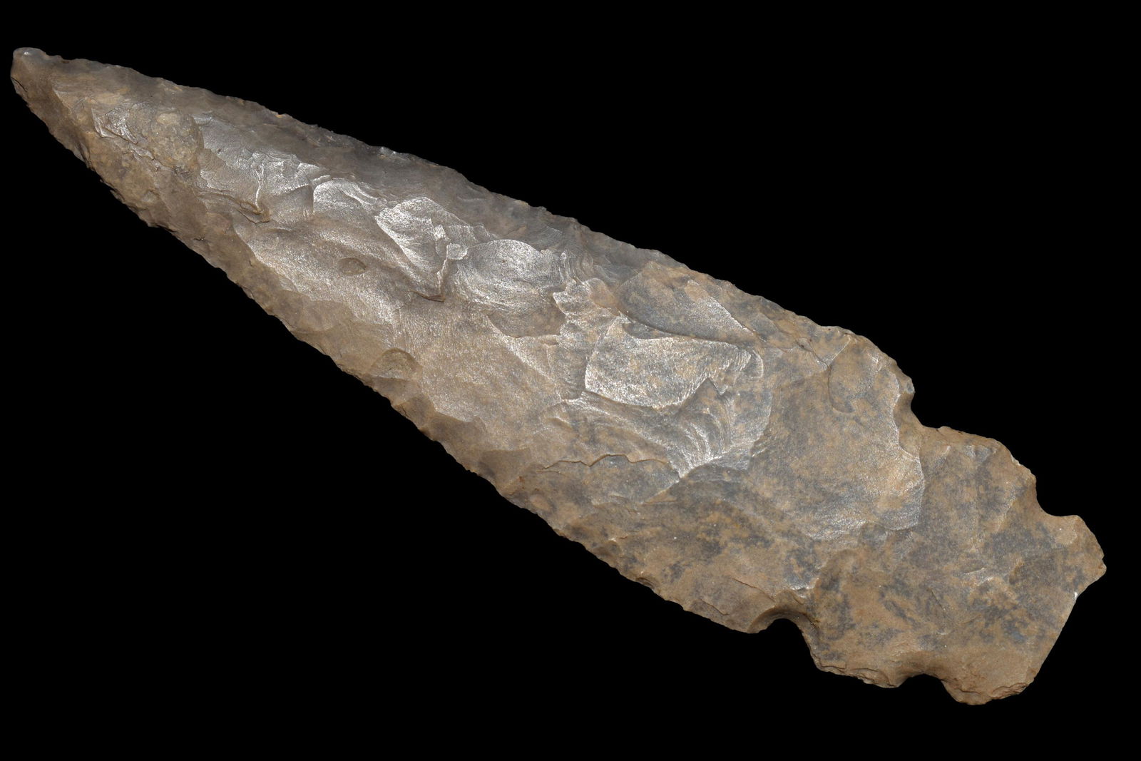 4 3/4" Quad Notch Turkey Tail Johnson Co Illinois Ex (1 of 4)