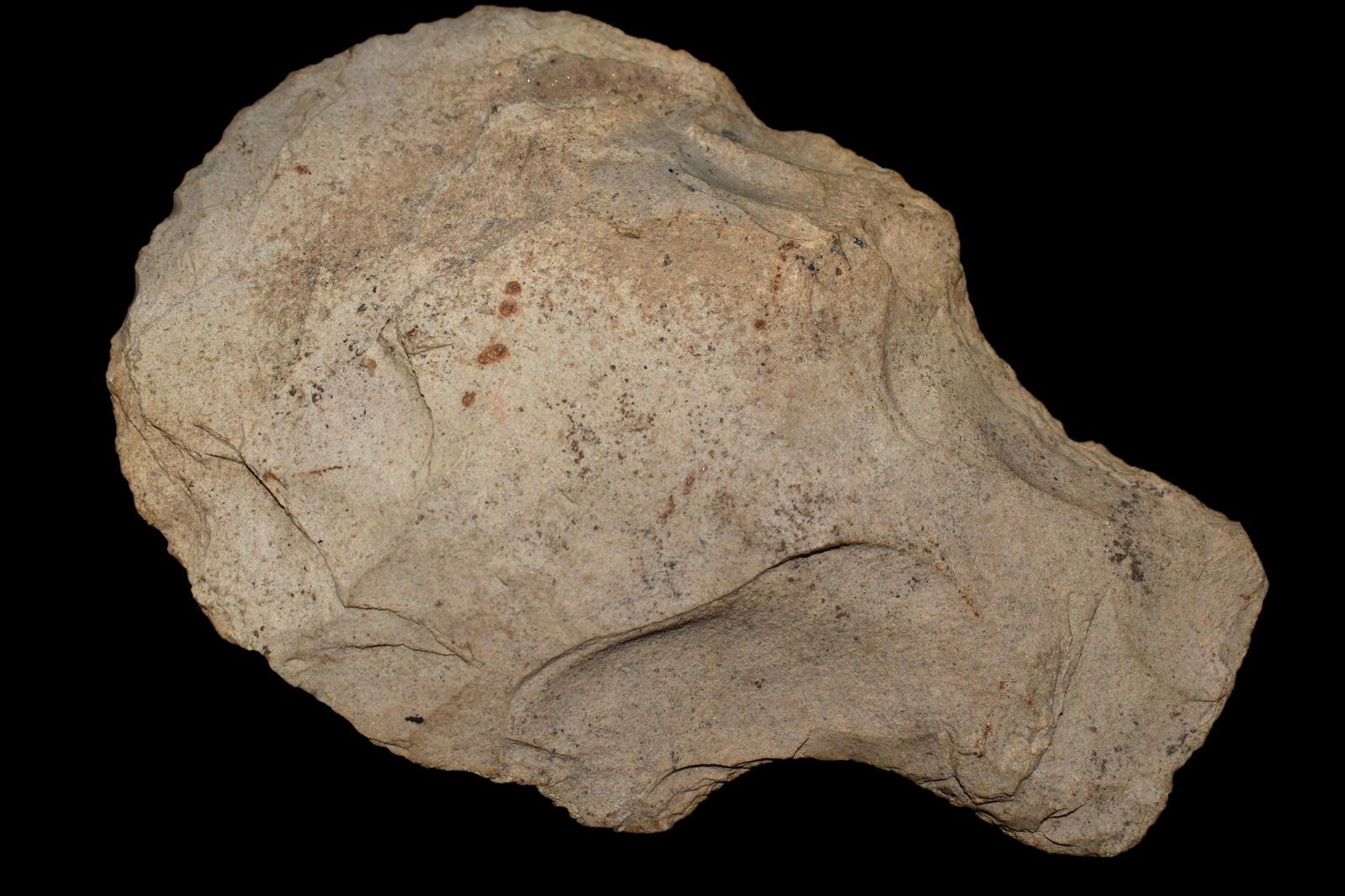 5 3/8" Flared Bit Hoe Made of Mill Creek Clinton CO (1 of 5)