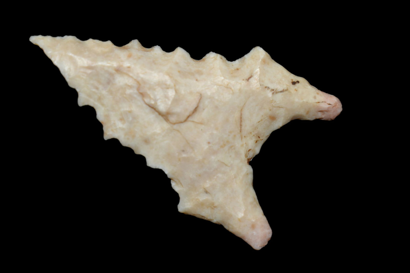 2 5/8" Dalton Green Co Arkansas Ex Stan Copeland Ex (1 of 5)