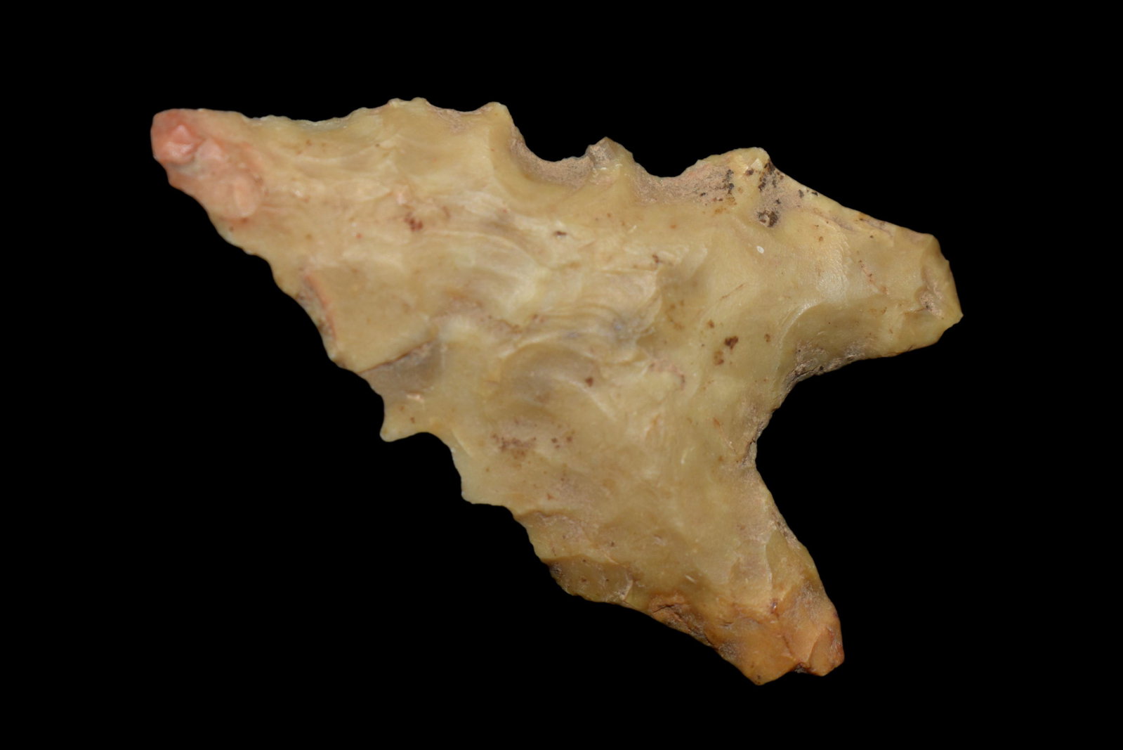 1 5/8" Dalton Green Co Arkansas Ex Stan Copeland Ex: 1 5/8" Dalton Green Co Arkansas Ex Stan Copeland Ex Nick Gatses Made of crowleys ridge chert