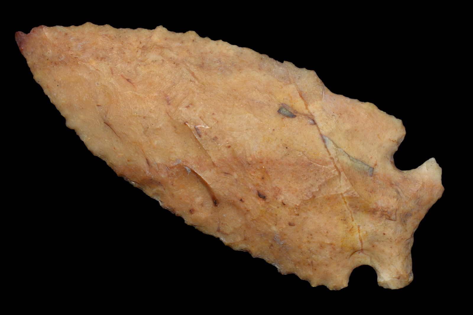 3" Buzzard Roost Made of Translucent Kaolin Johnson Co (1 of 5)