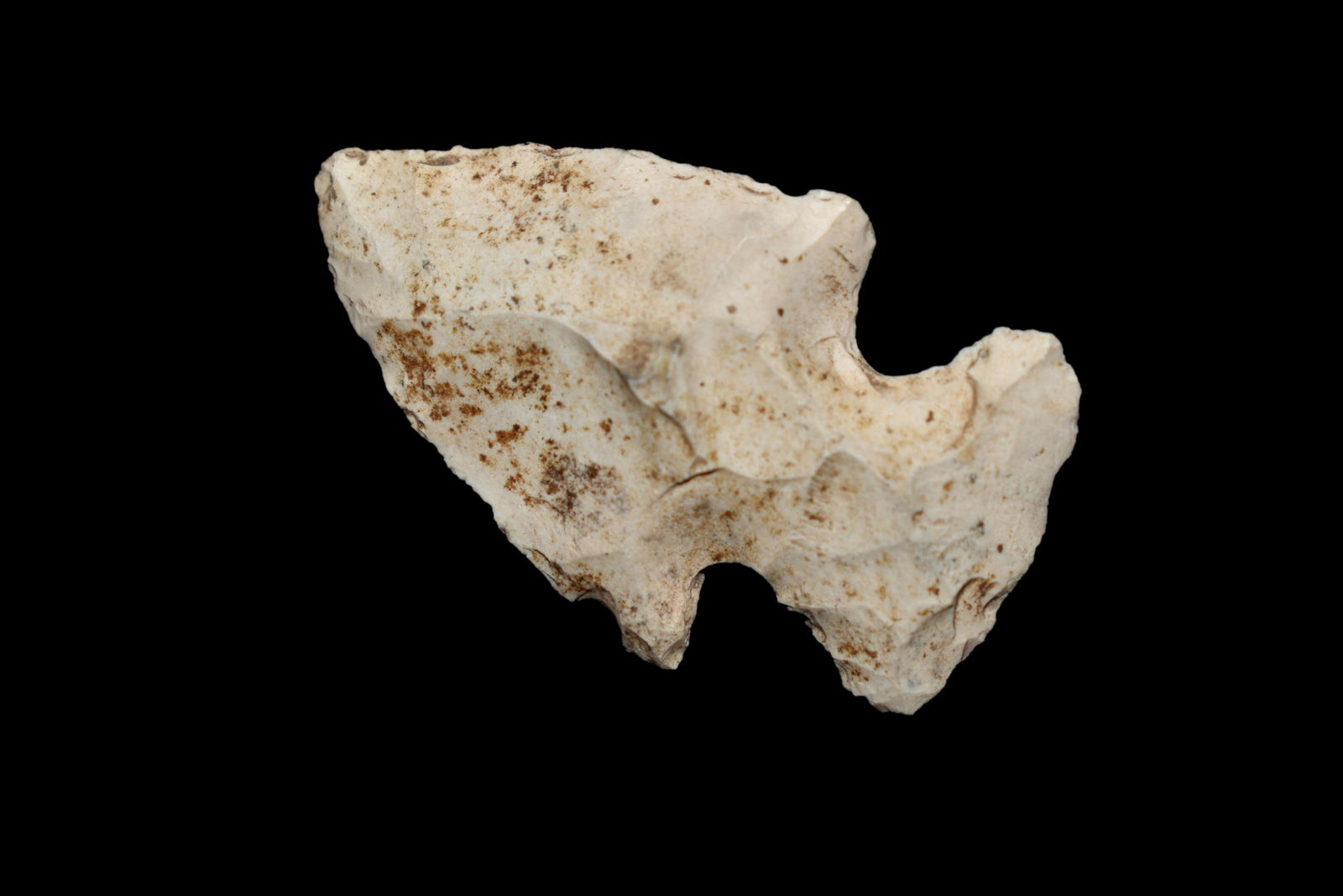 1 1/4" Mini Thebes Shelby CO ILL ex Nick Gatses (1 of 5)