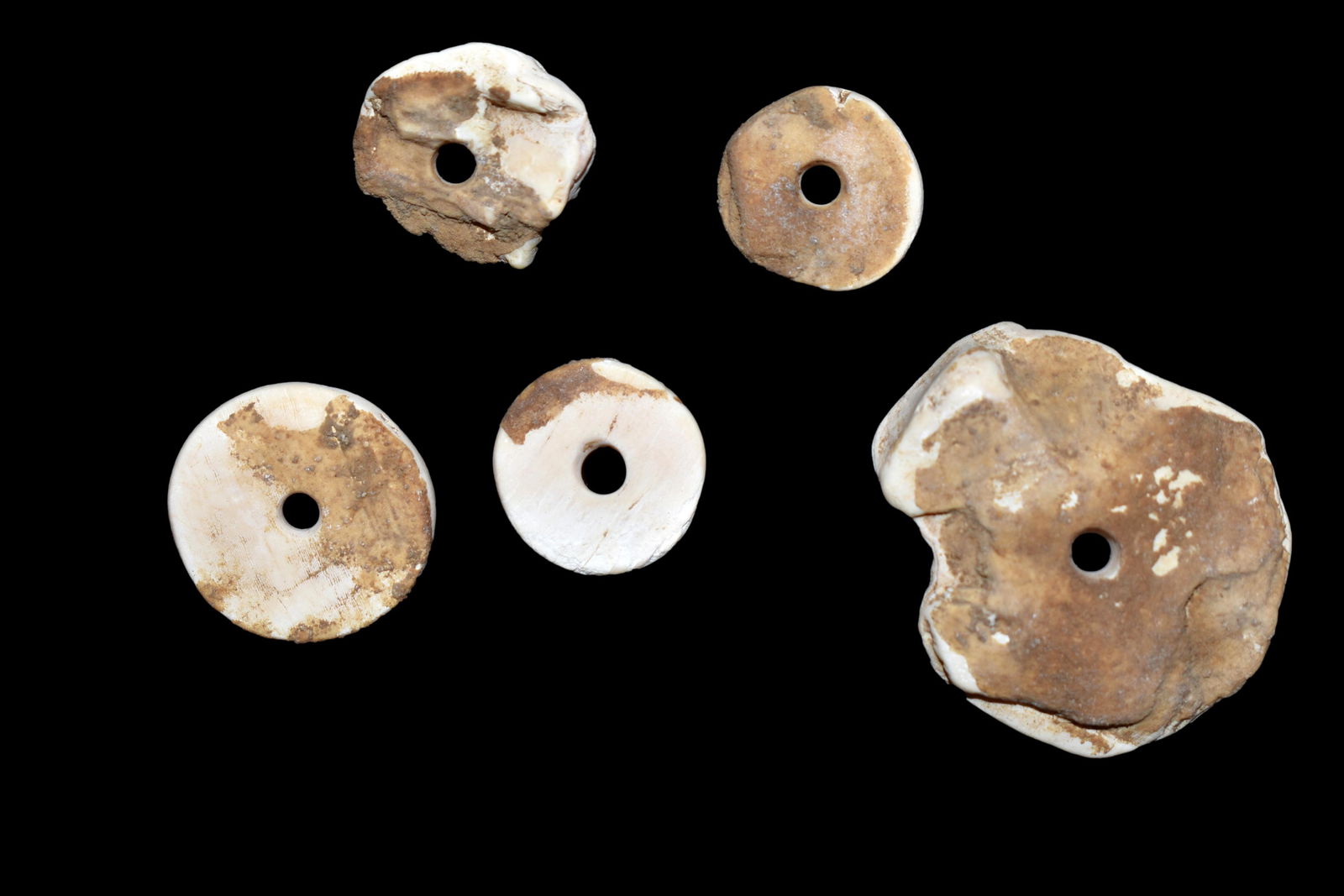 Lot of 5 Drilled Shell Pendant Beads Dent CO MO Ex Nick (1 of 2)