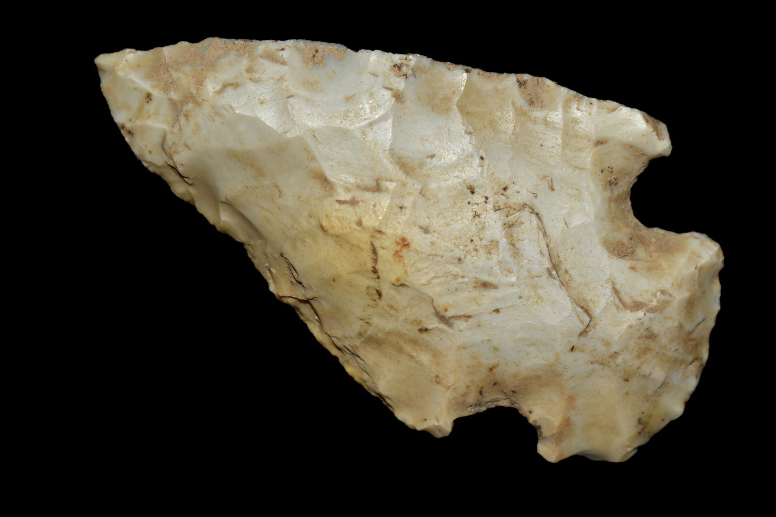 2 1/4" Dovetail Shelby Co ILL Ex Nick Gatses (1 of 5)