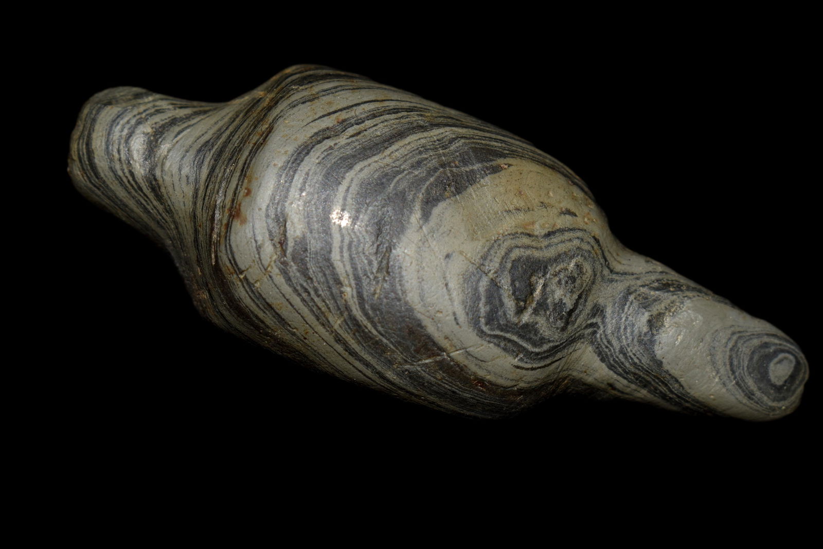 3 3/8" Rare Banded Slate Lizard/Turtle Effigy Clinton (1 of 9)