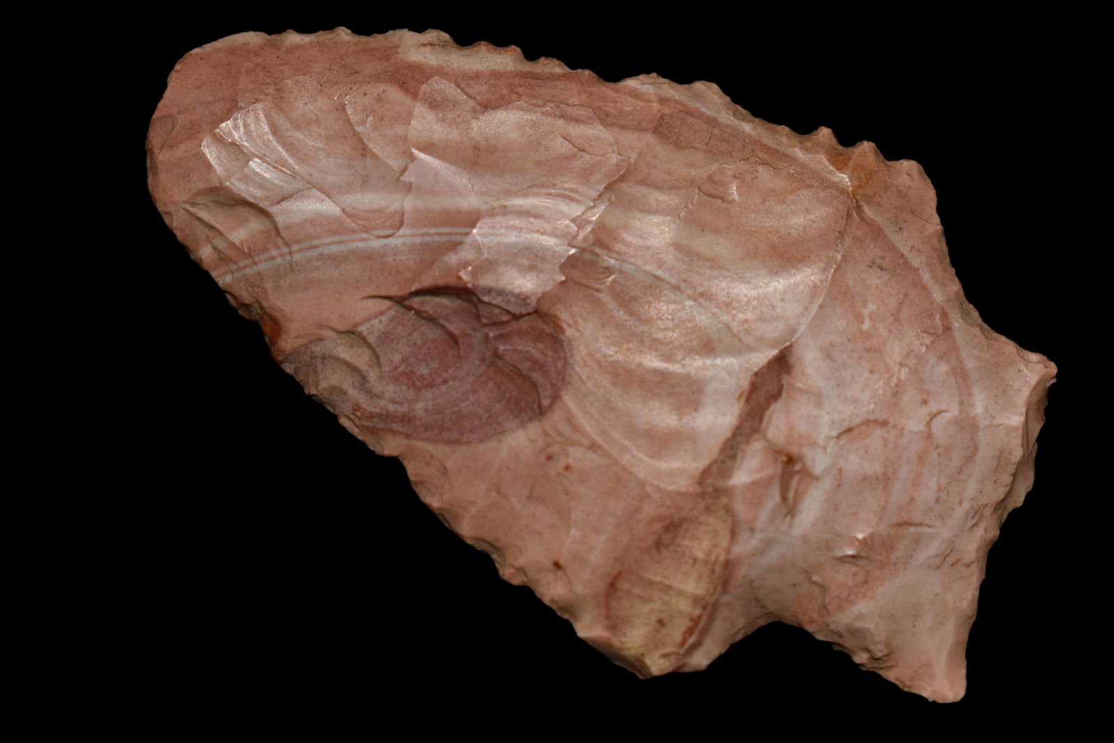 2 1/8" Pink Bullseye Point Dent CO MO (1 of 6)