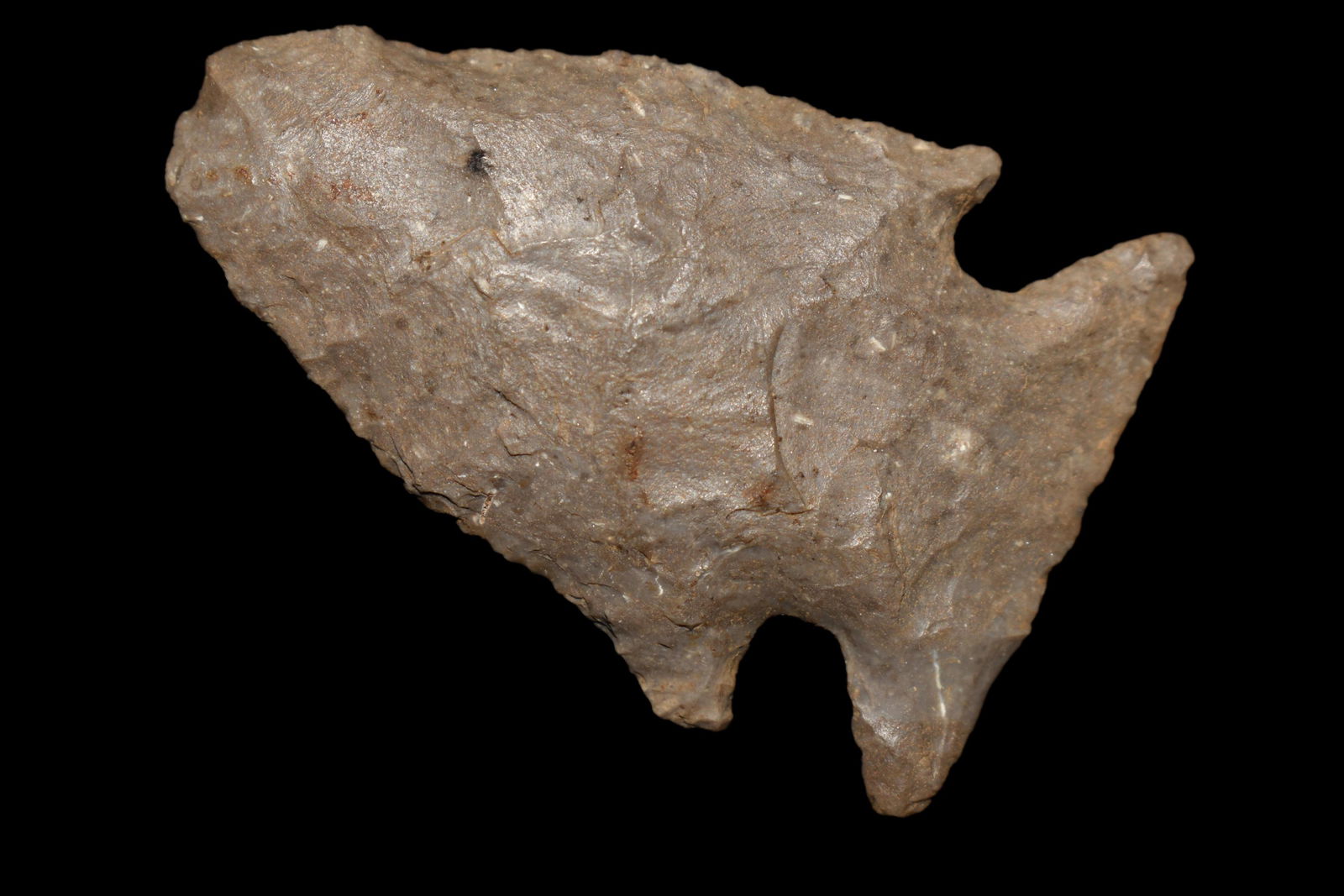 1 5/8" Corner Notch New York State (1 of 5)