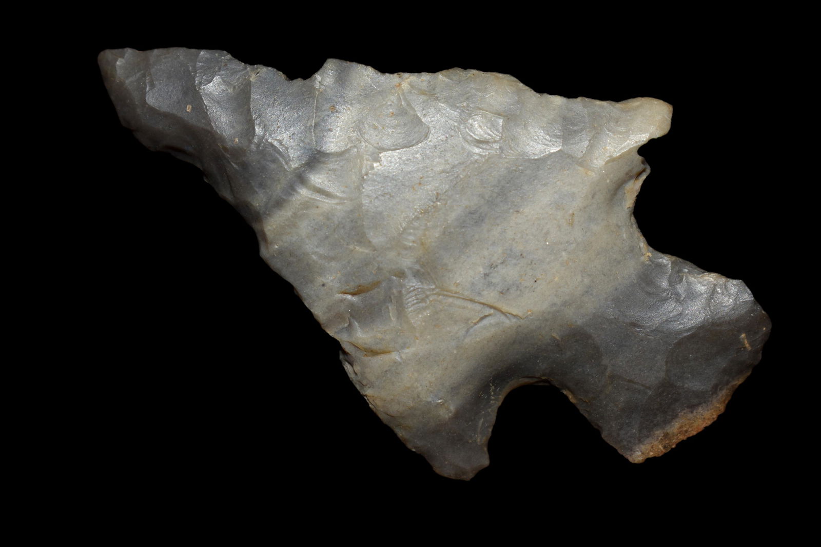 2 1/8" Banded Cobden Point Johnson Co ILL (1 of 5)