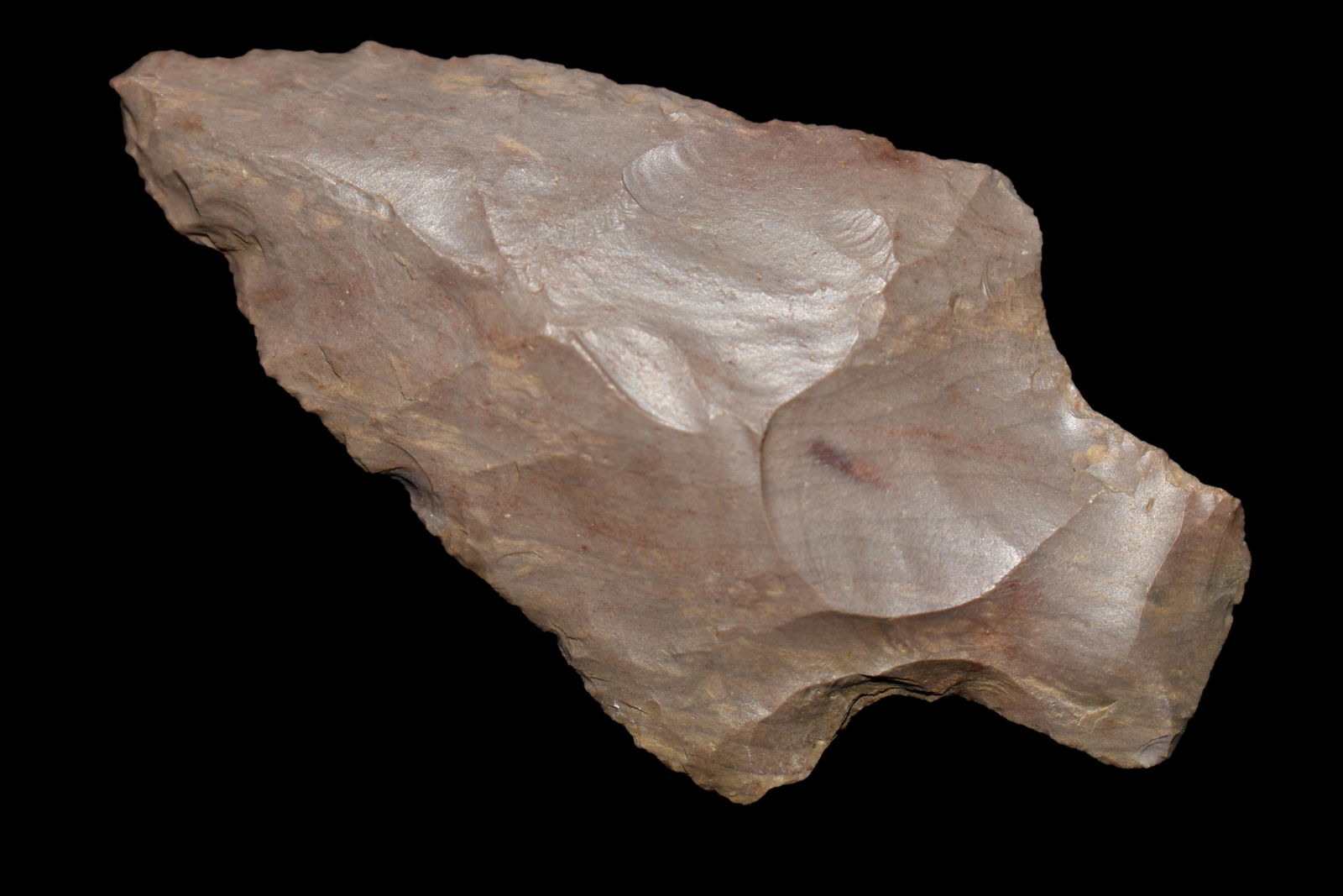 2 5/8" Stemmed Poind Lauderdale Co Alabama (1 of 5)