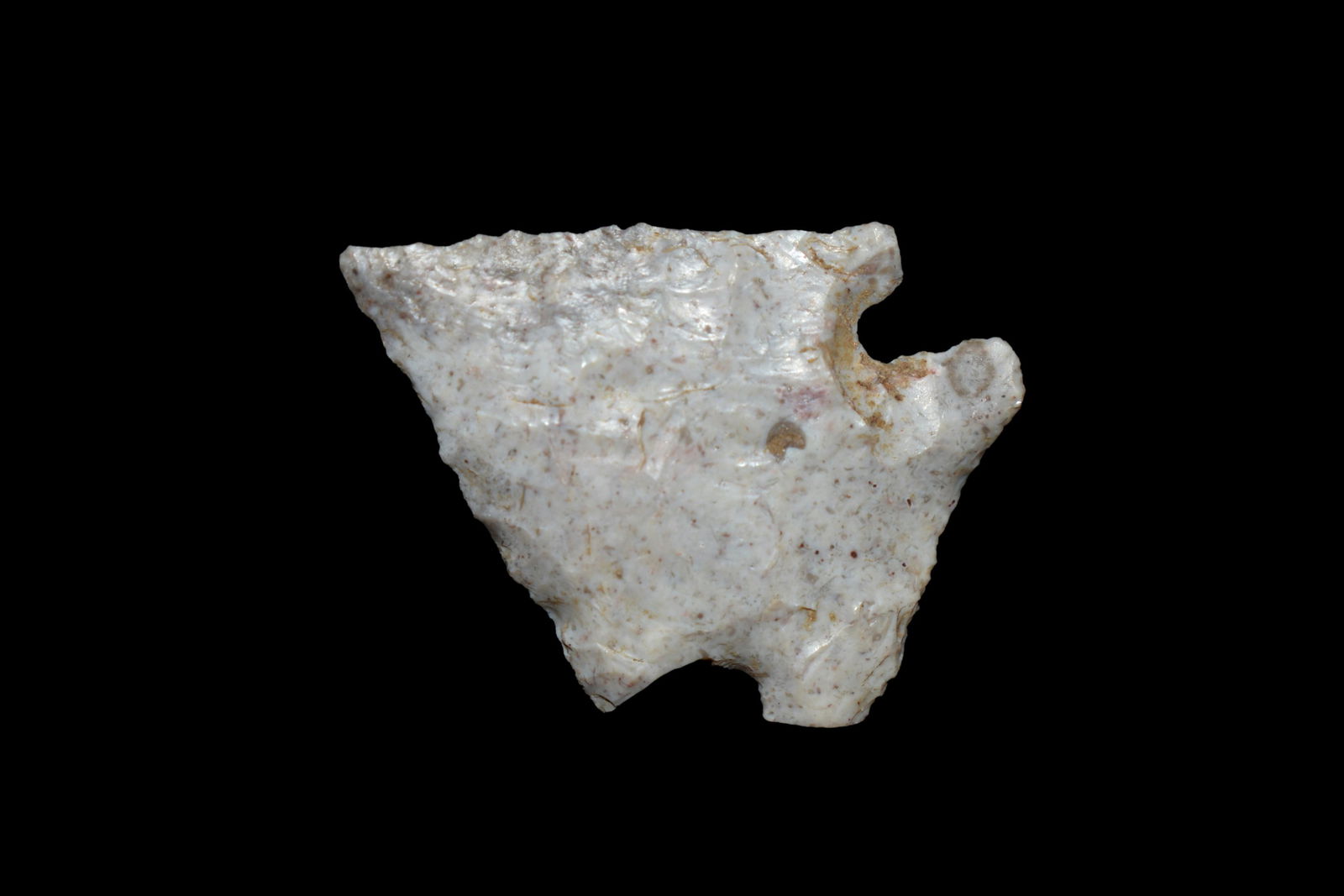 1 1/8" Birdpoint found in Cooper County, MO, Authentic (1 of 4)