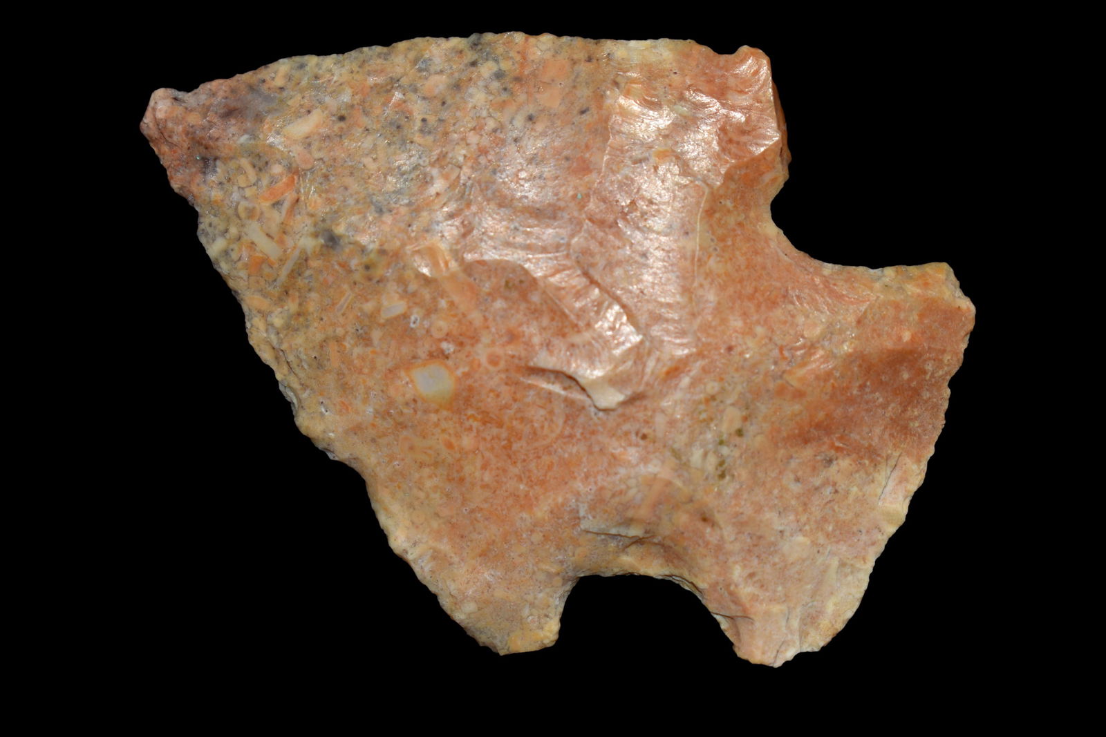 2 1/4" Creek Stained Snyder Point found in Saline (1 of 4)