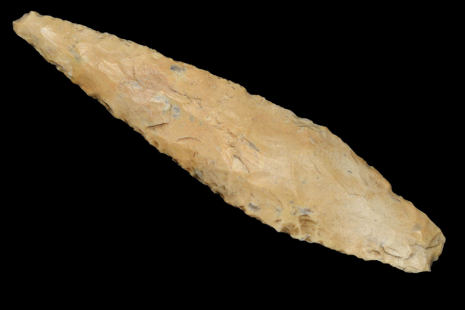 5 5/8" Archaic Blade found by Billy Coleman in Barry (1 of 4)