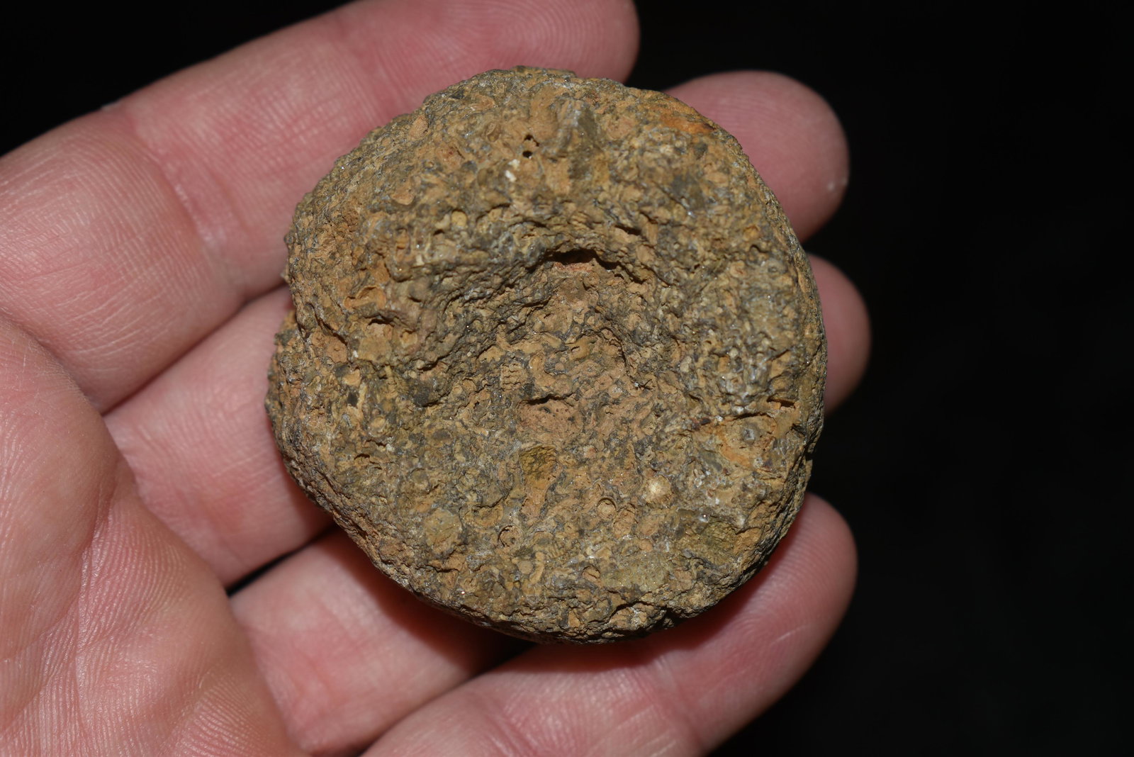 2" Field Grade Discoidal, Cupped, Iowa (1 of 7)