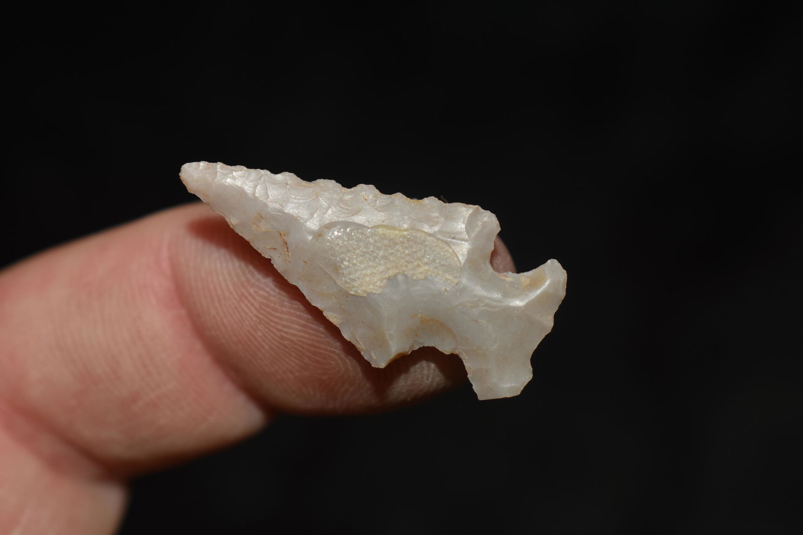 Fine Bird Point, Colorado, Nice Material, 1.1/8" (1 of 3)