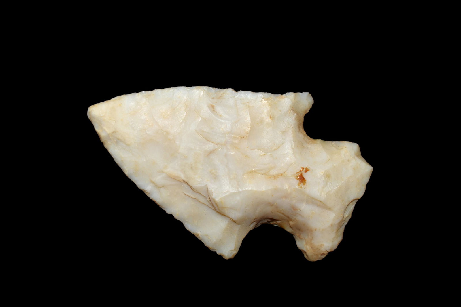 1 5/8" Kaolin Corner Notch, Found by Tom (1 of 4)