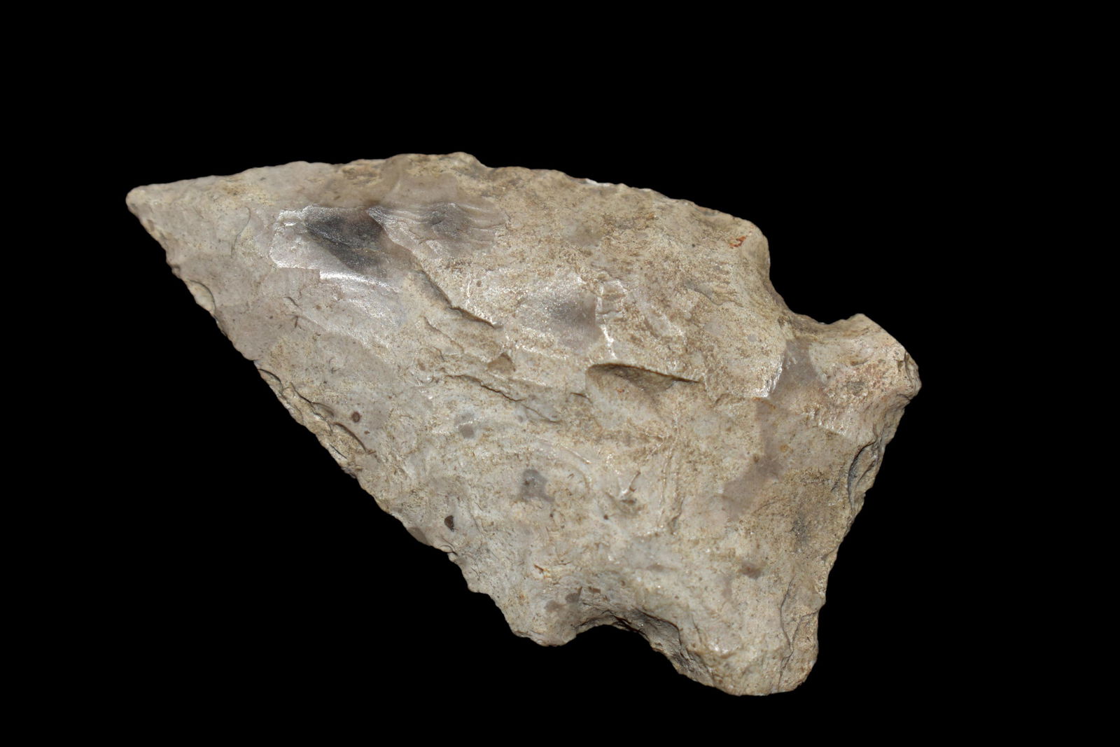 1 3/4" Woodland Point found in Johnson Co. IL (1 of 4)