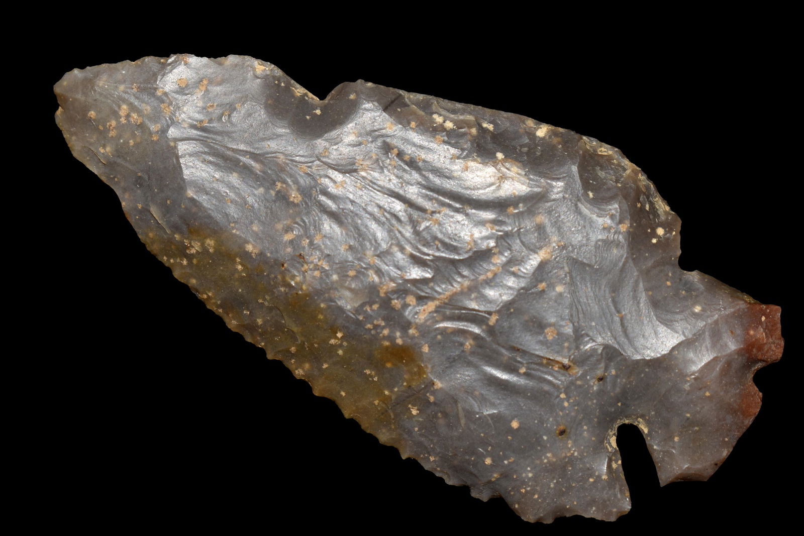 3 1/2" Dovetail made of Sonora Found on the Briggs Farm (1 of 4)