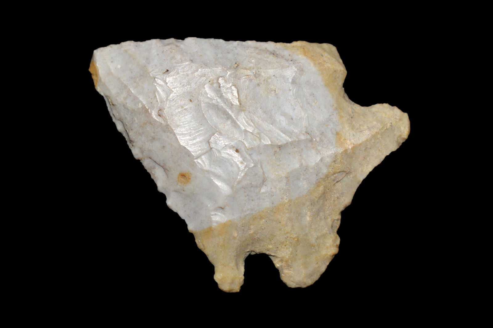 1 5/8" Pine Tree found in Montgomery Co. Indiana Made (1 of 5)