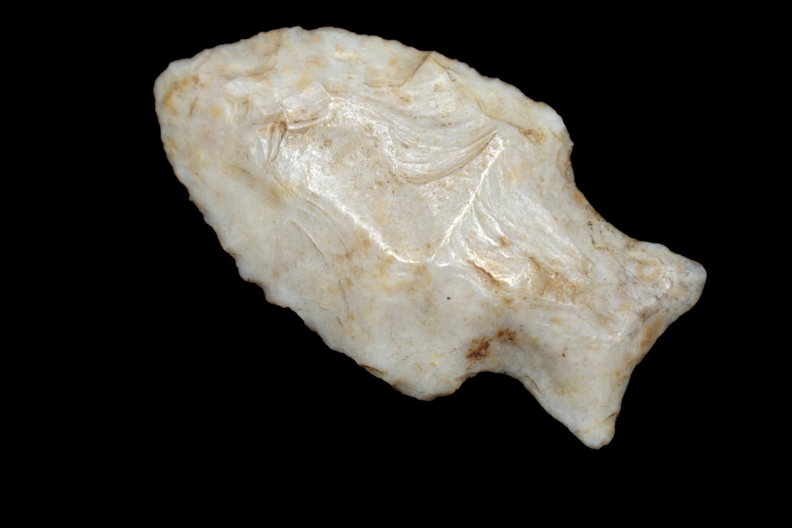 1 5/8" Tablerock, Hevaily Ground Base, found in Knox (1 of 5)