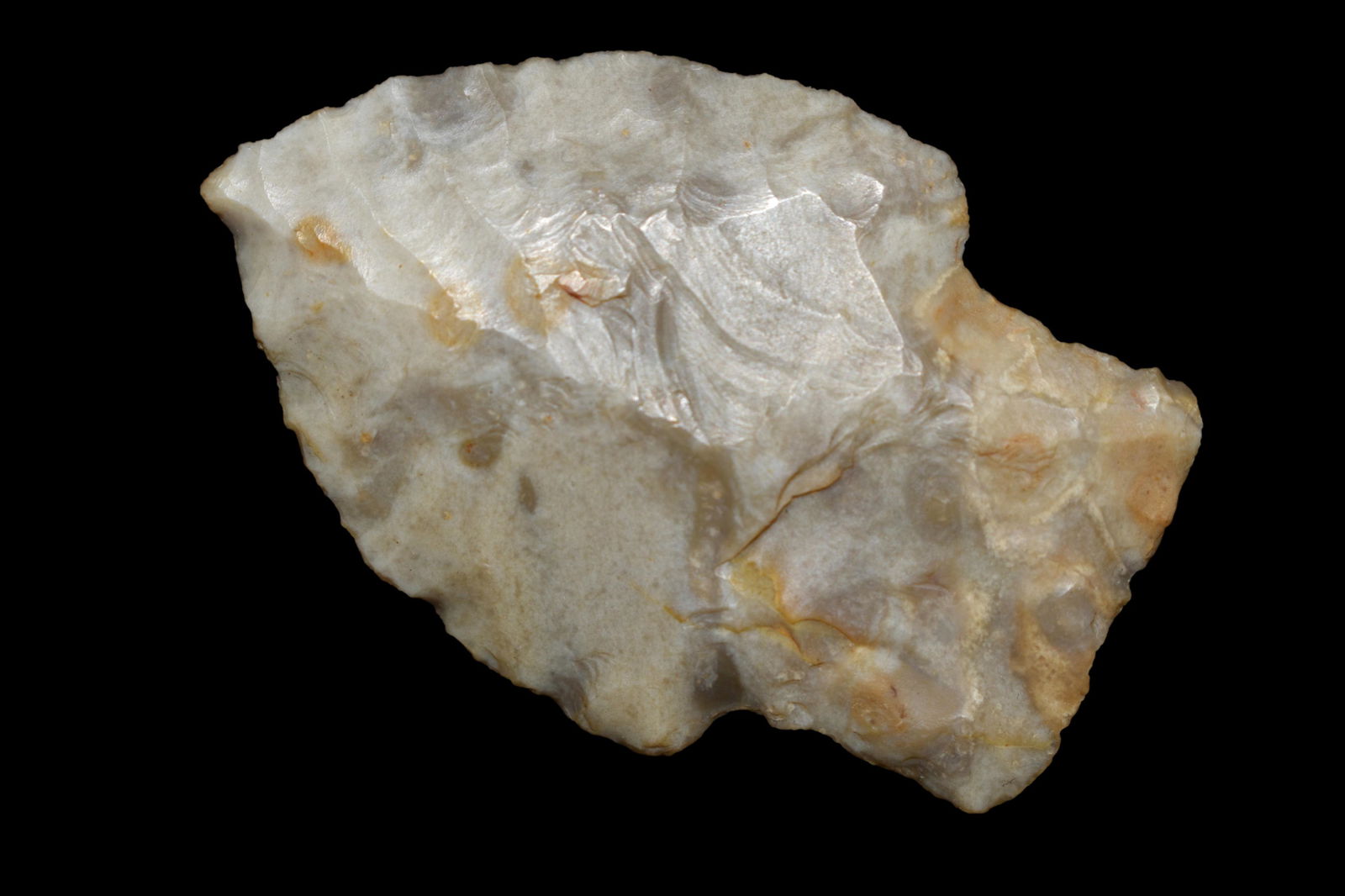 2" Adena-Robbins found in Kansas,  Authentic Native (1 of 5)