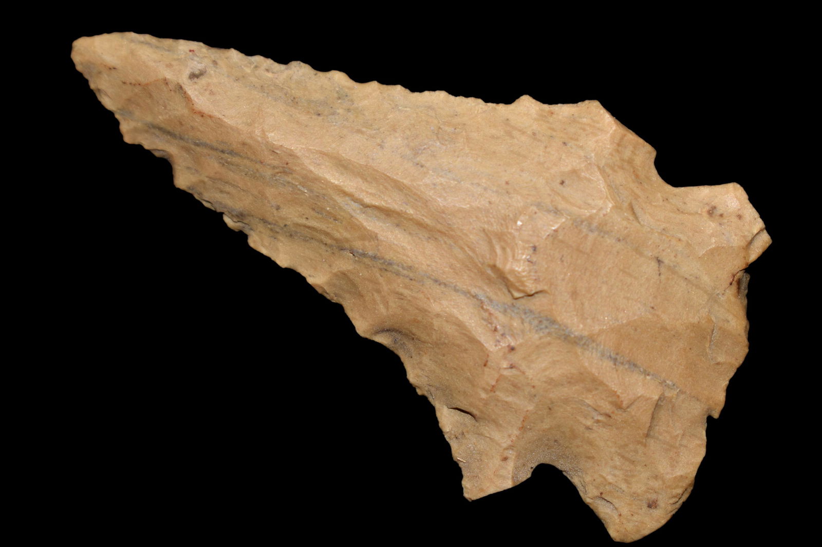 2 3/8" Pinetree, found in Johnson CO., Illinois on the (1 of 5)