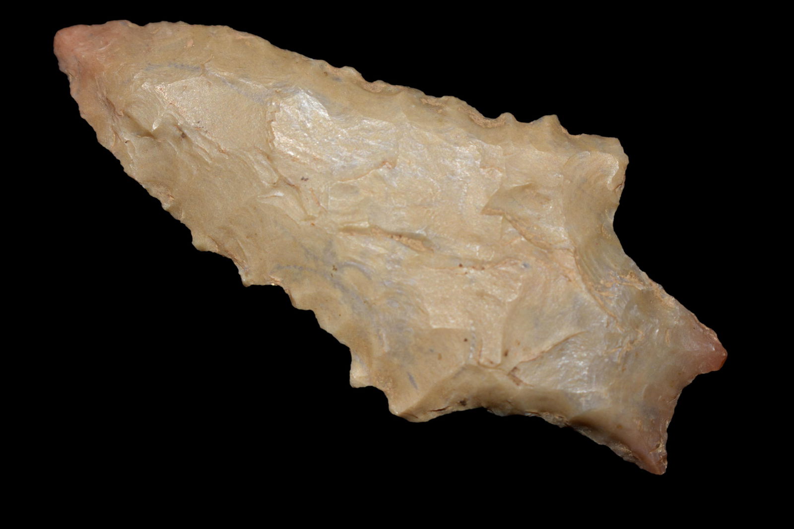 2 1/2" Serrated Kirk, found in Johnson CO., Illinois on (1 of 5)