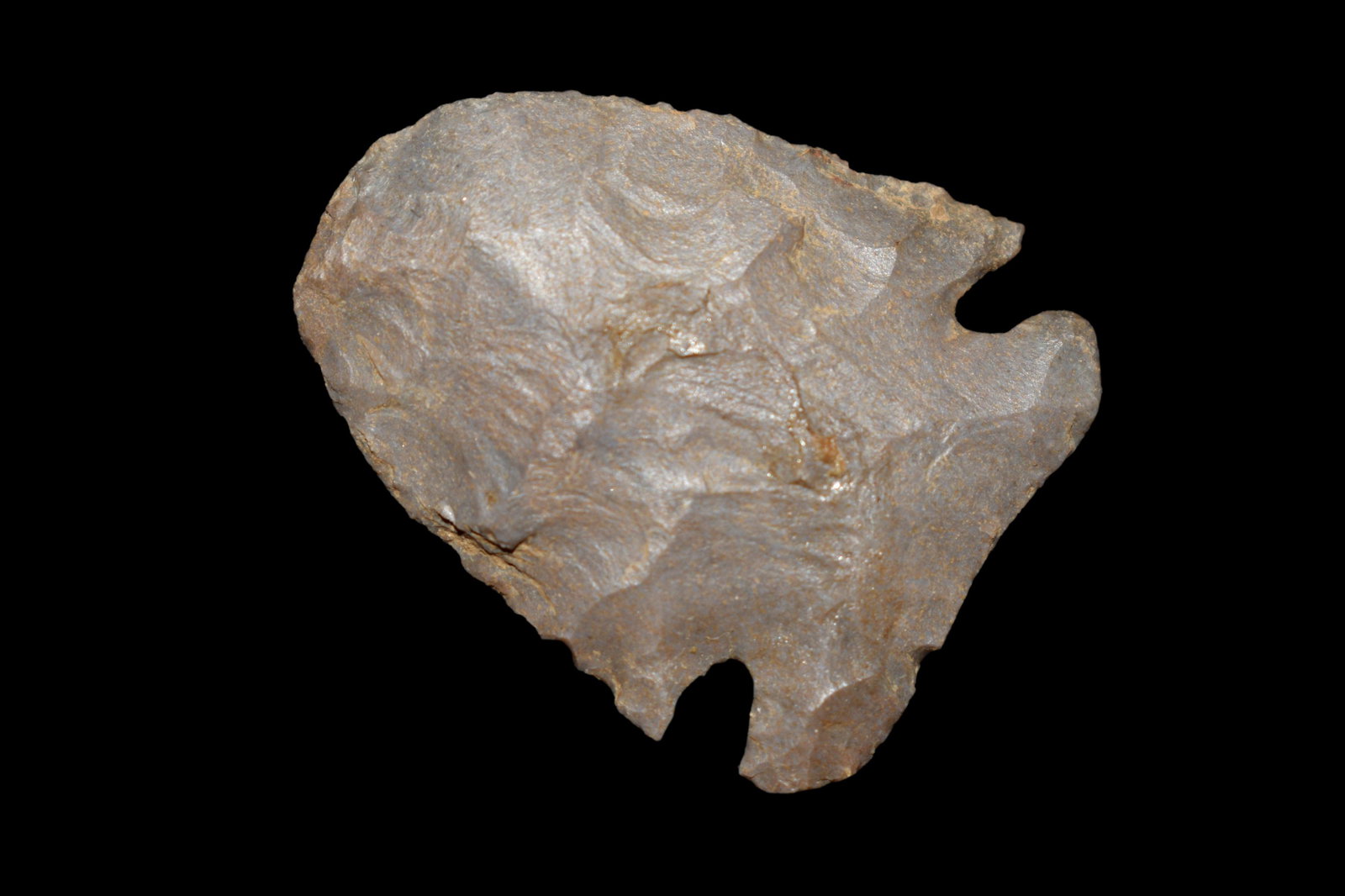 1 1/4" Micro Notched Blunt, found in Johnson CO., (1 of 5)