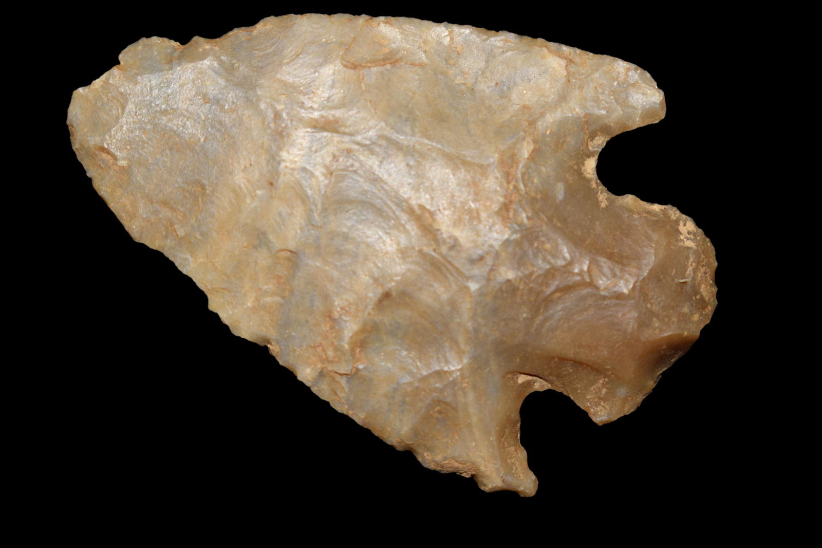 2 1/4" Big Slough, found in Johnson CO., Illinois on (1 of 5)