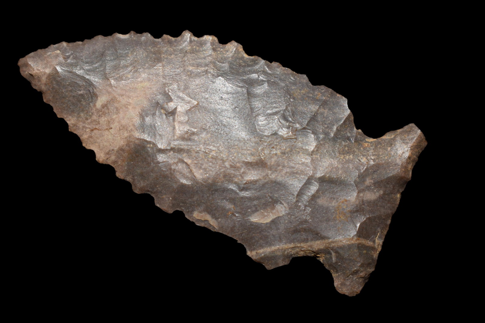 1 7/8" Heavily Serrated Palmer found in Alabama, (1 of 6)