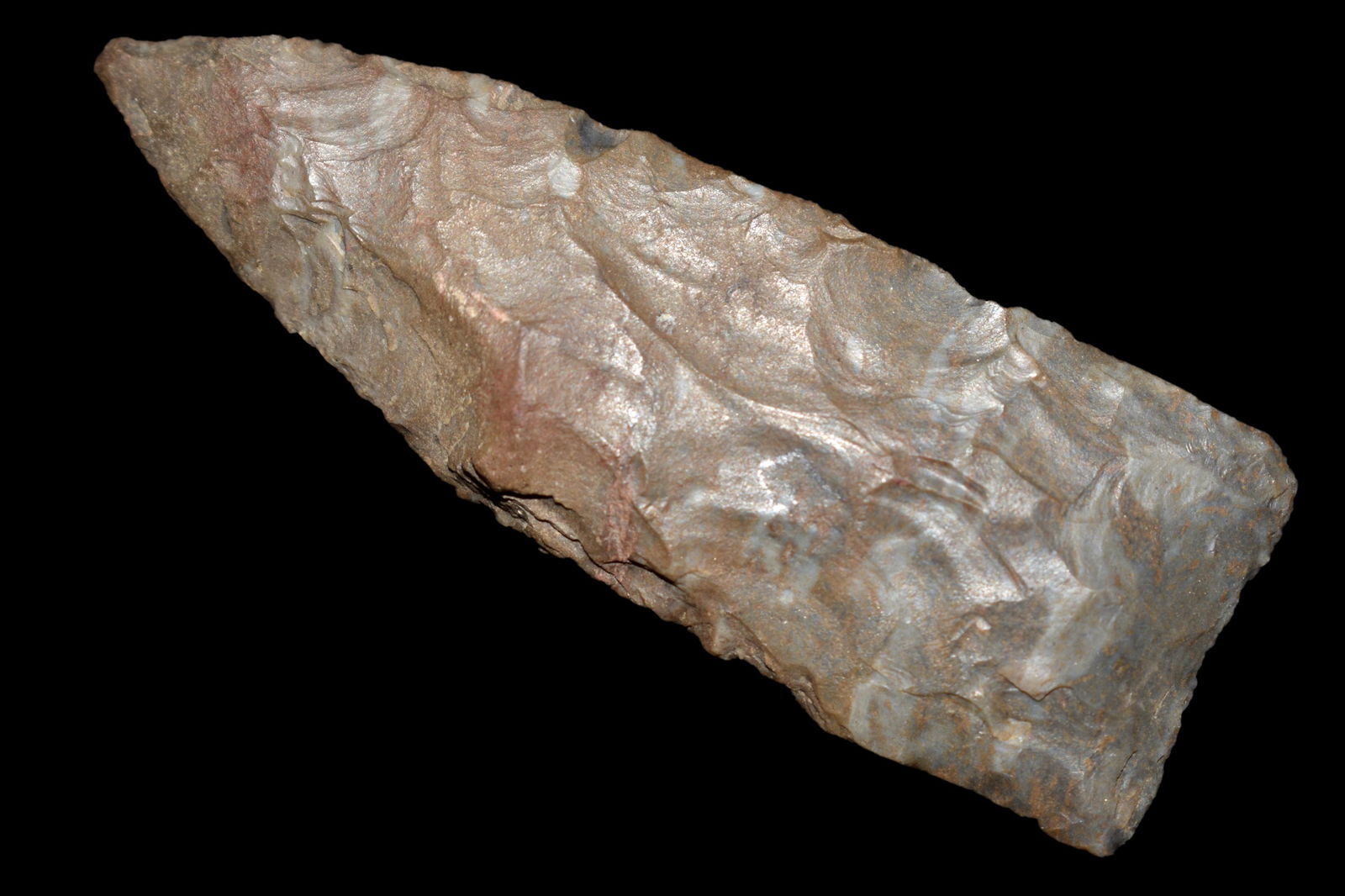 2 7/8" Dalton found in Tennessee, Heavily Ground Base, (1 of 6)