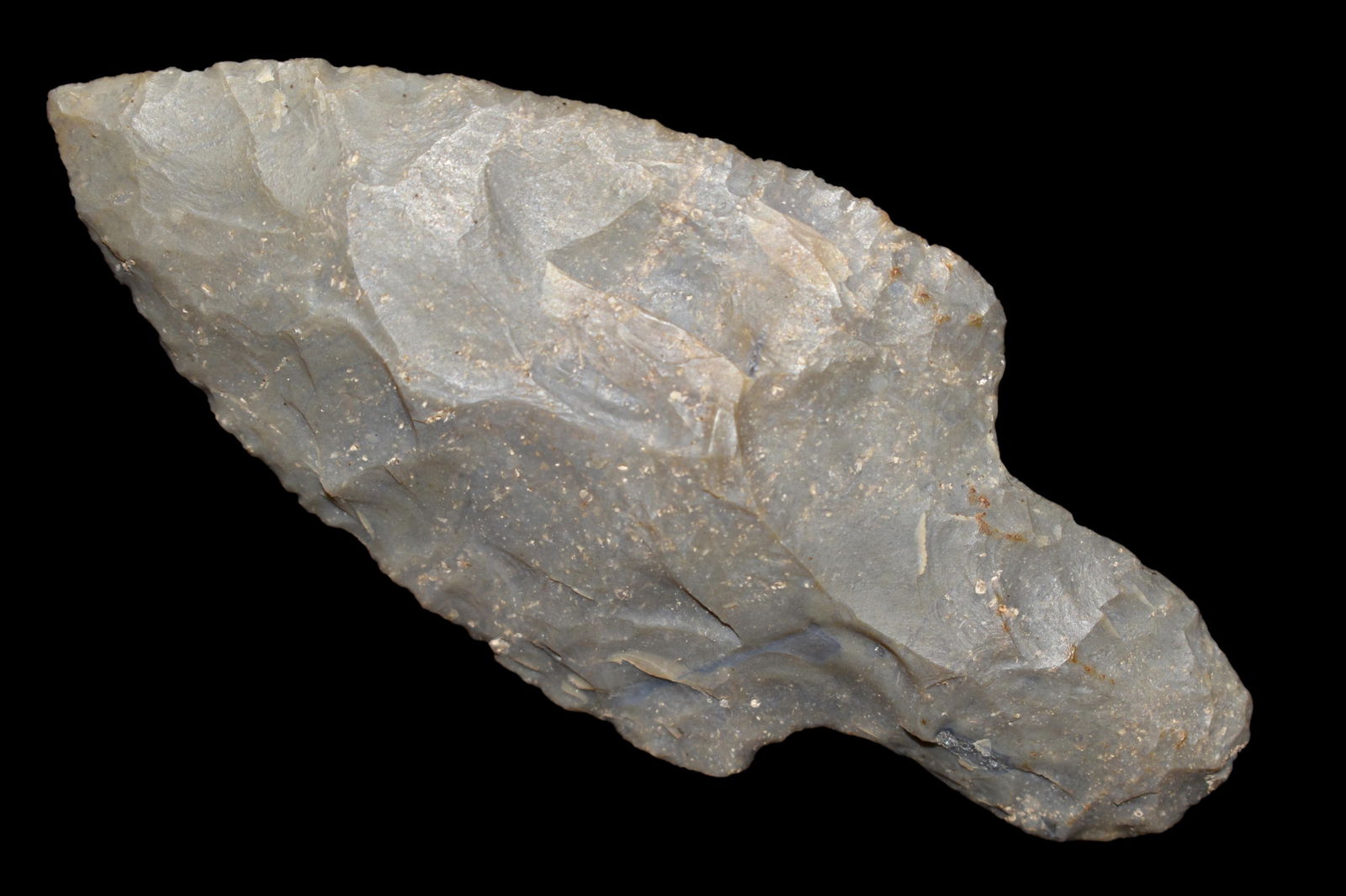 3 5/8" Amazing Beavertail Adena found in Montgomery (1 of 5)