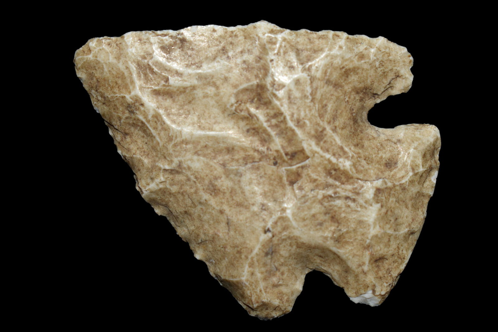 2 1/8" Lostlake, found in St. Louis CO., Missouri, (1 of 5)