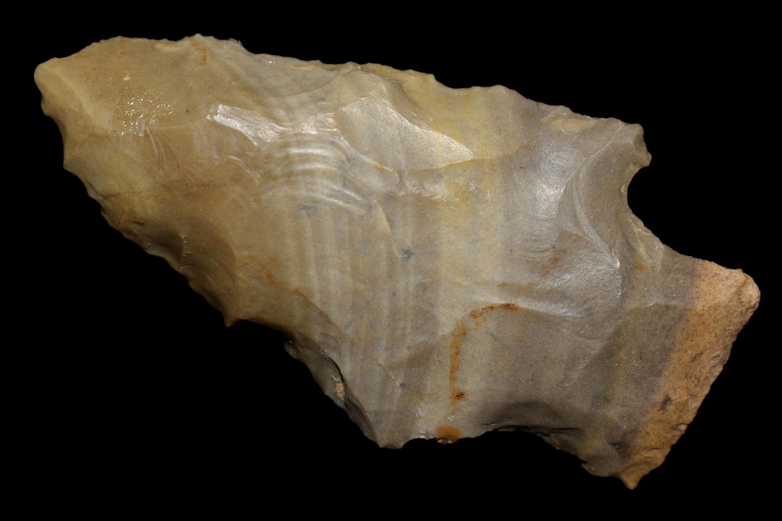 2 1/2" Cobden Arrowhead, found in Johnson CO., Illinois (1 of 5)